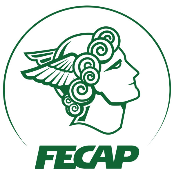 Logo FECAP Oficial