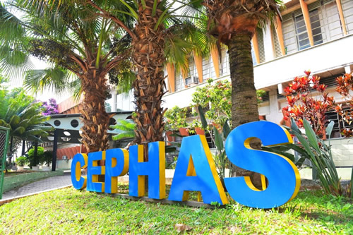 Fundhas - Cephas oferece mais 2.400 vagas de cursos EAD