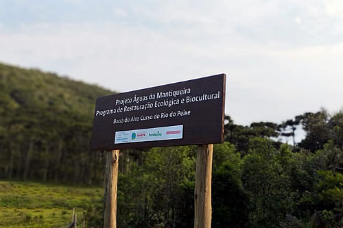 FUNDEPAG - Como projeto na Serra da Mantiqueira vem contribuindo para desenvolvimento sustentável e restauração ecológica de áreas nativas